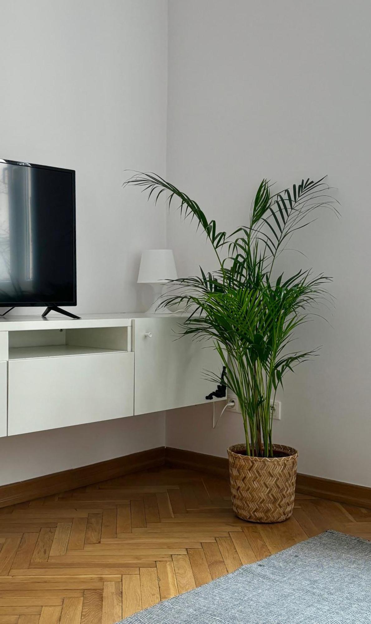 Apartament K3 Warszawa Eksteriør billede